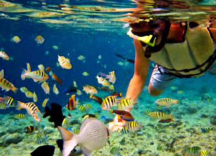 宿霧旅遊海島度假最愛Pescador Island 浮潛行程欣賞珊瑚和熱帶魚