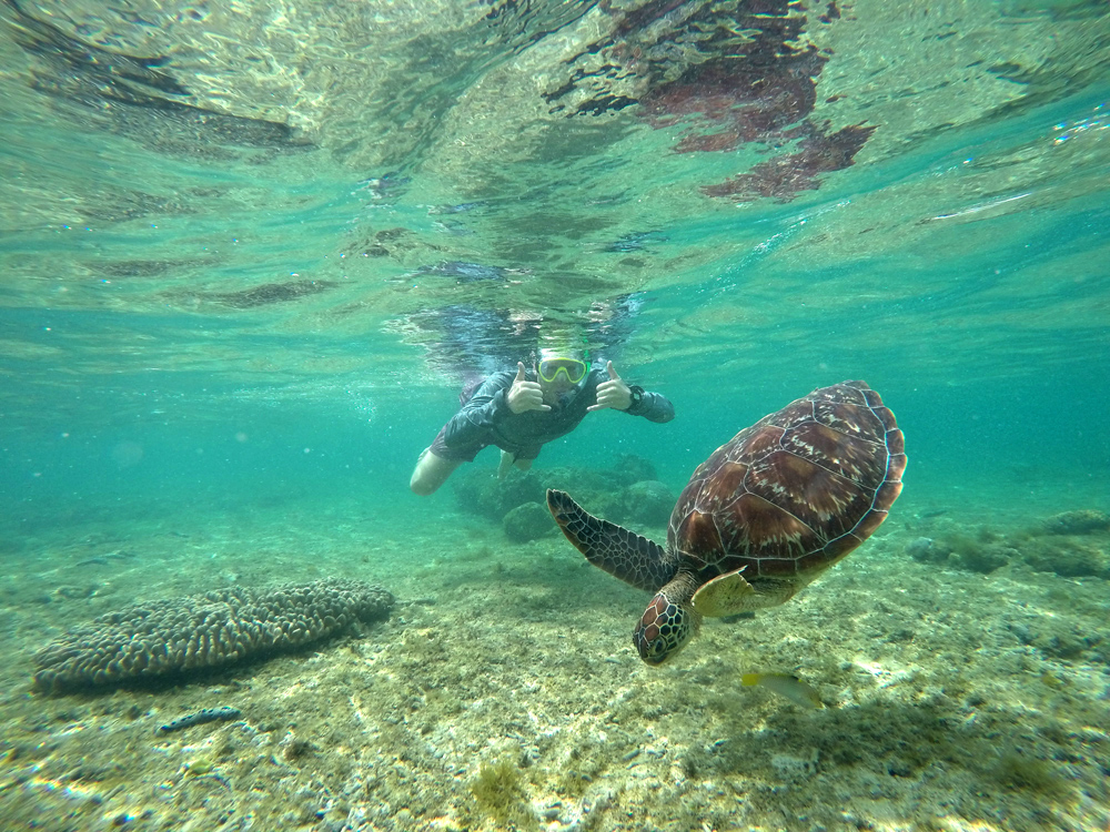 swim-with-turtles-apo-island-17
